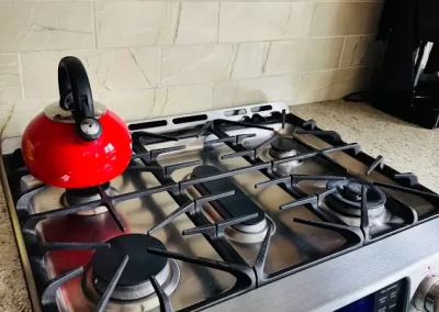 Home Cleaning