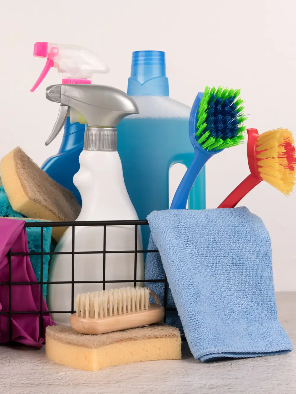 Professional Home Cleaning Professional Home Cleaning